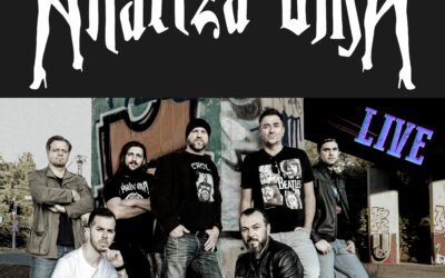 Analiza umA – Special Guest: Lavenders