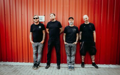 MASSENDEFEFKT – 25 LIVE